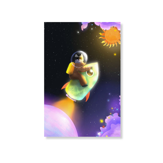 Racoon en orbite