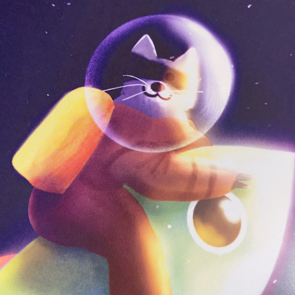 Raccoon in Orbit / Illustrated Poster