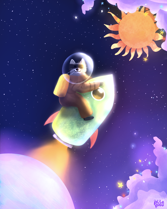 Raccoon en orbite / Affiche illustrée