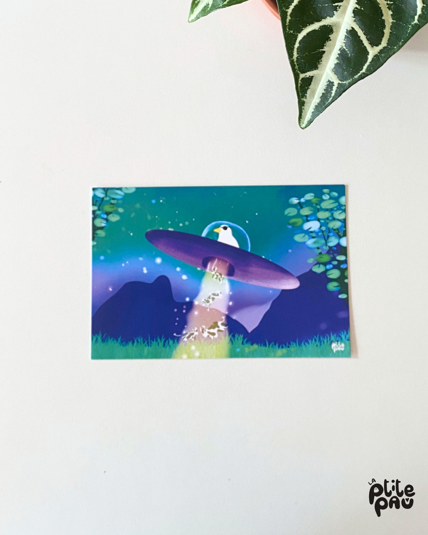 Mini illustrations — Choisis ton petit monde